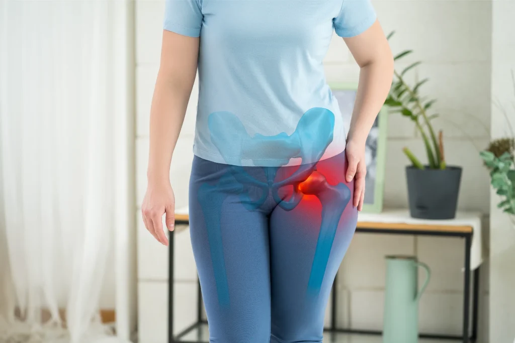 The hip and pelvis where the ache localises, highlighted